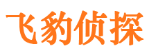 中沙外遇调查取证